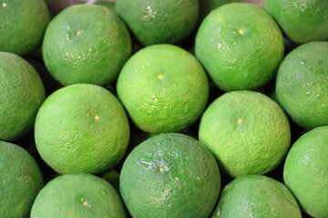 数個の青いすだちのアップ　俯瞰