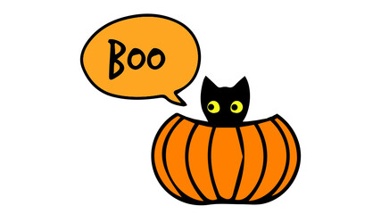 halloween cat with pumpkin