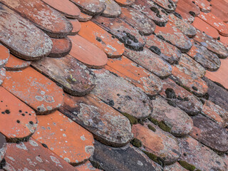 Feuchtes Moos auf altem Dach