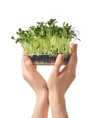 Woman with fresh micro greens on white background, closeup