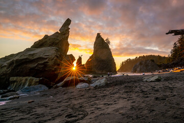 Olympic national park landscape in usa