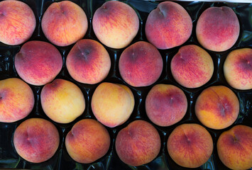 Close-up view of ripe peaches in boxes on a farm.