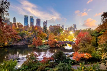 Foto op Plexiglas Central Park in de herfst in midtown Manhattan New York City © f11photo