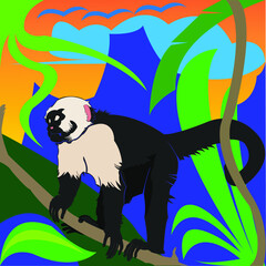 cappuccino monkey in nature vector