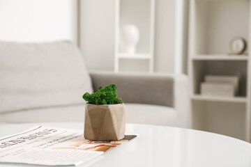 Pot with decorative green moss and newspaper on table in room
