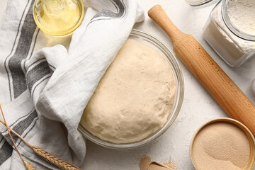Composition with fresh dough and dry yeast on light background