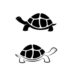 Vector of land tortoise design on white background. Easy editable layered vector illustration. Wild Animals. Amphibians.