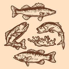 set of fishes