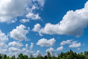 White cotton like puffy cumulus clouds against a blue sky with the suns rays shining.