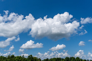 White cotton like puffy cumulus clouds against a blue sky with the suns rays shining.