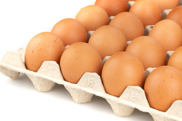 Eggs are freshly placed in a panel on a white background