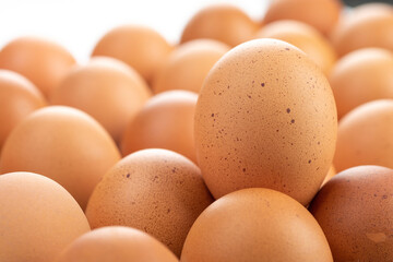 Eggs are freshly placed in a panel on a white background