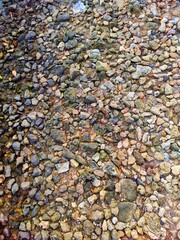 autumn leaves background