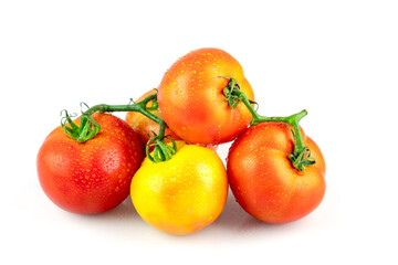 Red and yellow fresh tomatoes with water droplets isolated on white background