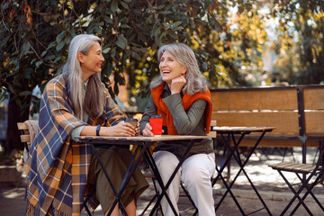 Mature Asian lady with positive grey haired friend spend time together sitting at small table in...