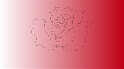 line drawing roses