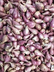 Onion Garlic Photo