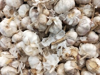 Fresh Onion Garlic Photo