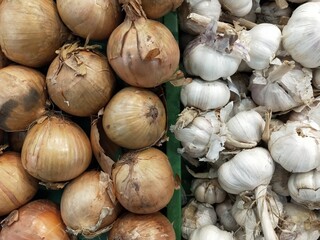 Fresh Onion Garlic Photo