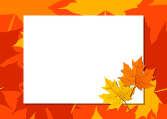 Naklejka na ściany i meble Template vector for Autumn concept, maple leaf frame, white space for copy and design. Horizontal layout template, orange tone.