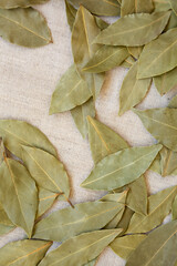 Raw Bay Leaves on cloth, overhead view. Flat lay, top view, from above.