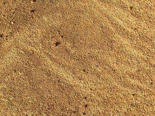footprint in the sand