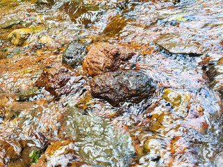 Little Stones in a Shallow River