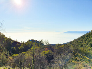 Sunny Day Above the Clouds on a Green Mountain