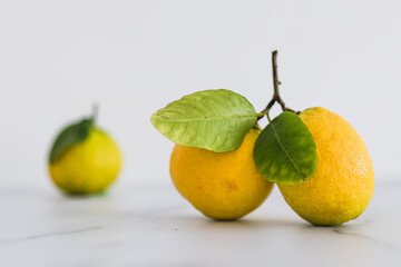 freshly picked lemons with leaves on white background shot at shallow depth of field, simple ingredients concept
