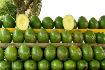 Avocado for sale in the market, Persea americana 'Hass', tropical fruit