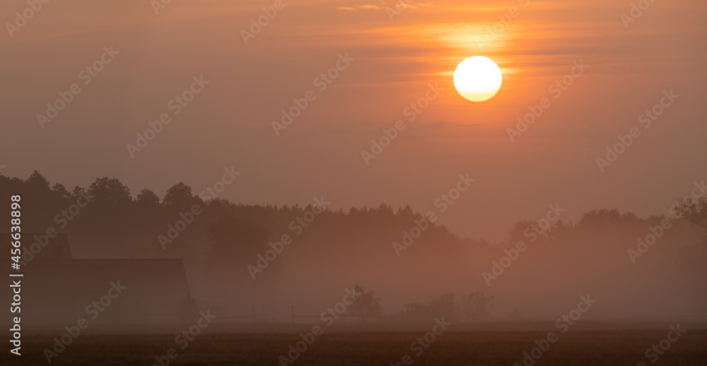 Wall mural misty sunrise over an agricultural farm