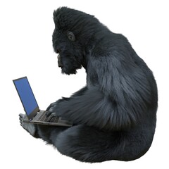 Gorilla with laptop concept 3d illustration isolated on white