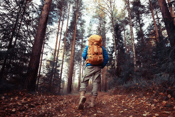 man with  backpack a view from the back, hiking in the forest, autumn landscape, the back of  tourist with a backpack