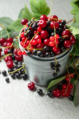 Cherries, red and black currants in a small metal bucket.