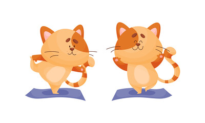 Ginger Cat with Striped Tail Doing Yoga Standing in Asana Vector Set