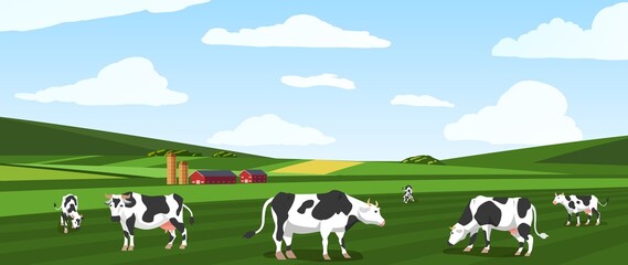 Fototapeta premium Summer background with group of grazing cows, flat vector illustration.