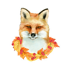 Portrait of red fox with wreath of autumn leaves and berries isolated on white background. Watercolor illustration for card, poster, print and more. Hello Autumn, Oktoberfest