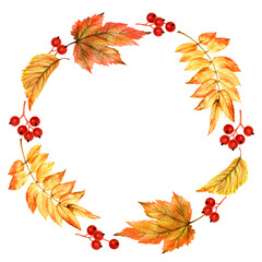 Frame with autumn leaves and berries for card, packaging, advertising, sale isolated on a white background. Hello Autumn, Oktoberfest. Watercolor