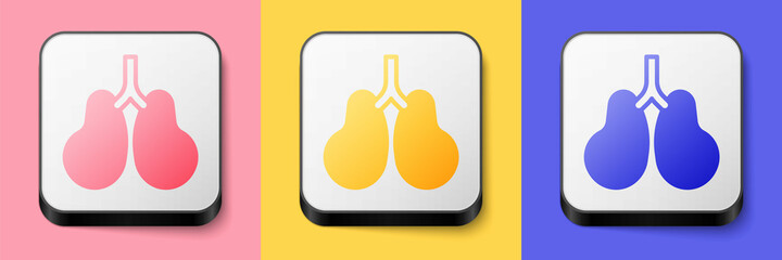 Isometric Lungs icon isolated on pink, yellow and blue background. Square button. Vector