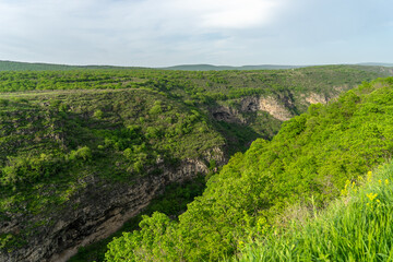 Obraz premium Green nature of Georgia travel ecotourism for health