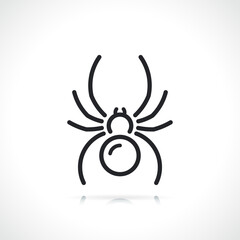 spider thin line icon isolated