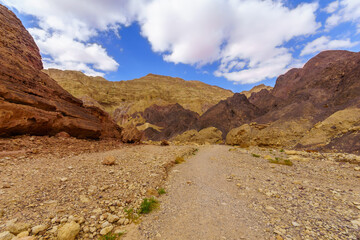 Nahal Amram (desert valley) and the Arava desert landscape