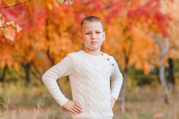 a nine-year-old short-haired boy in a knitted white sweater stands against the background of a mountain ash in the fall