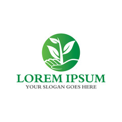 leaf logo , nature logo vector