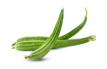 Farm fresh ridge gourds (angled luffa fruit) with isolated on white background