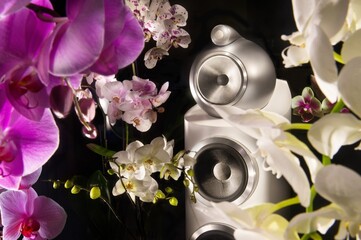 Lyxyry audio speaker whith orchids on black background