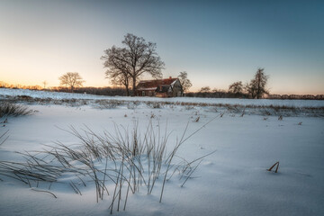 frozen lake in winter