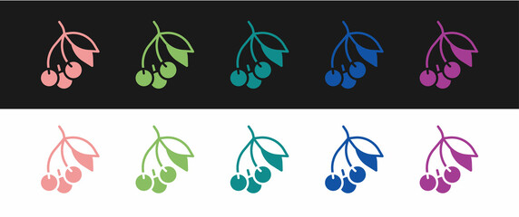 Set Fresh summer berries icon isolated on black and white background. Berry fruit. Vector