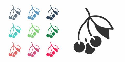 Black Fresh summer berries icon isolated on white background. Berry fruit. Set icons colorful. Vector