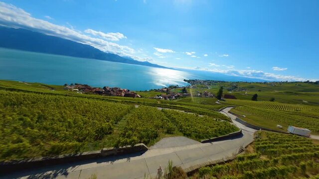 Vast Vineyards In Lavaux In The Charming Village of  Epesses Switzerland - Aerial shot
